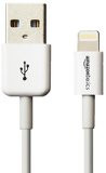 AmazonBasics Apple Certified Lightning to USB Cable - 4 Inches (10 Centimeters) - White